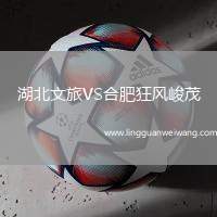 湖北文旅VS合肥狂風峻茂