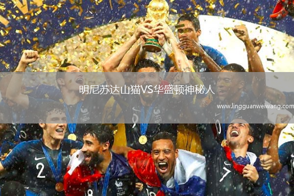 明尼蘇達(dá)山貓VS華盛頓神秘人