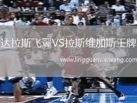 達拉斯飛翼VS拉斯維加斯王牌